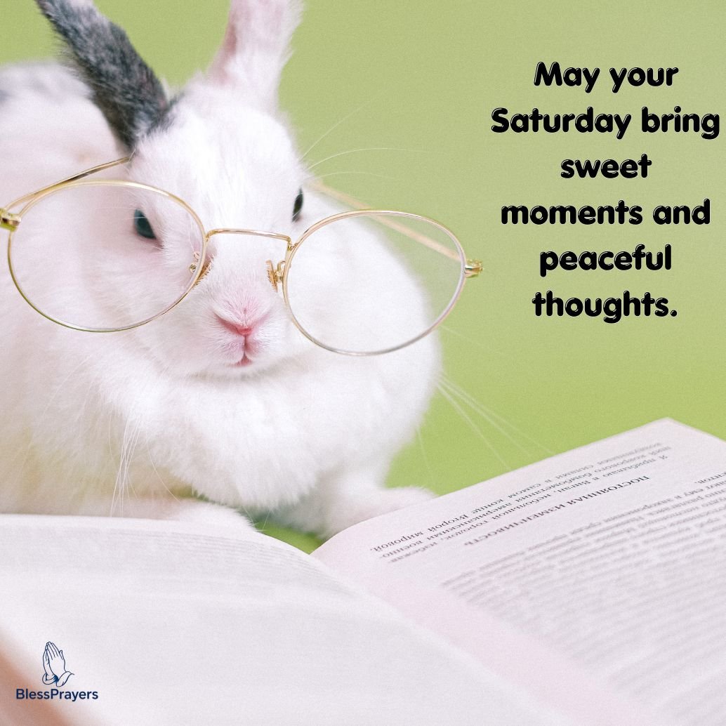 Cute Saturday Blessings 