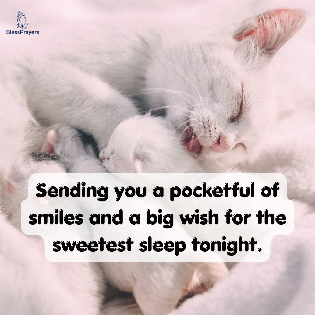 cute-good-night-wishes-and-blessings