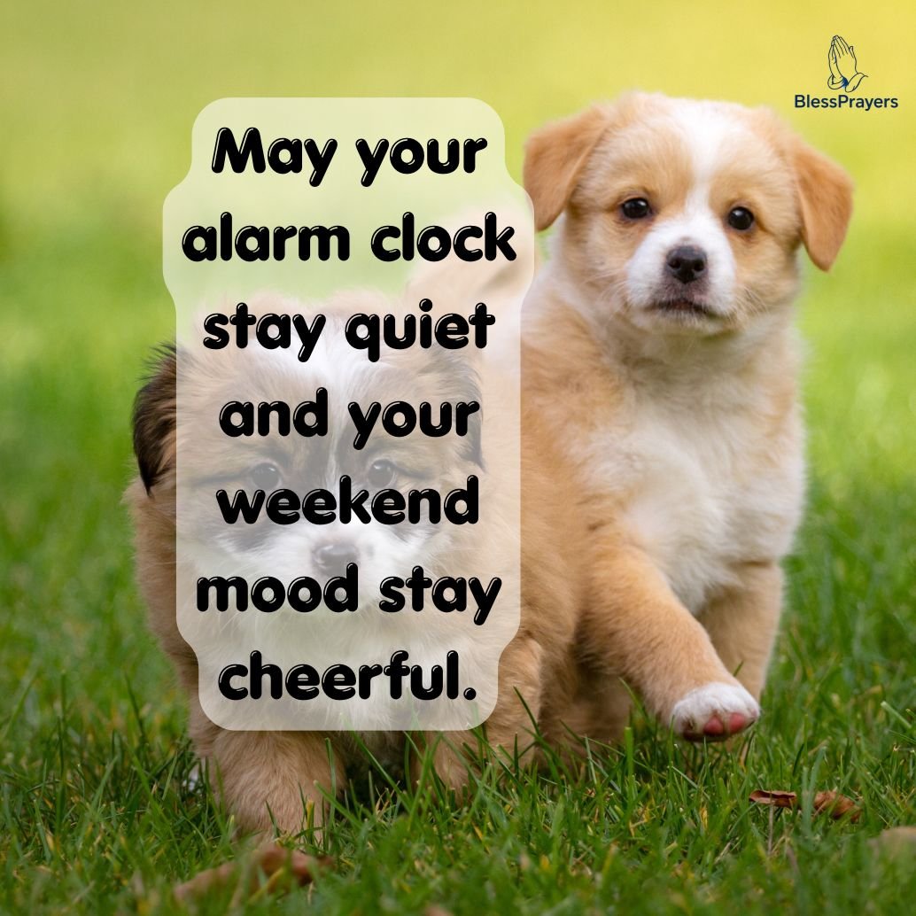 funny-and-cute-saturday-blessings