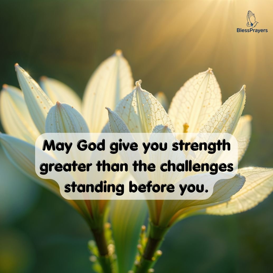 powerful-tuesday-blessings-to-lift-your-spirit