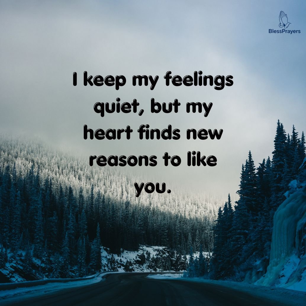 secret-crush-quotes-for-hidden-feelings