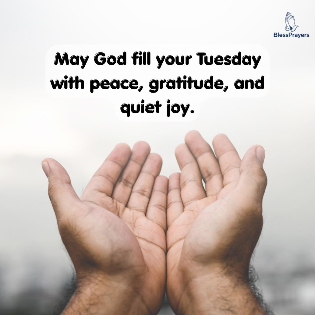 thankful tuesday blessings